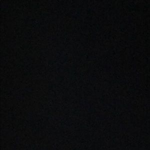 Meet your Posher, Damion